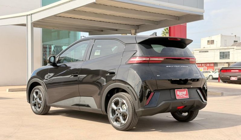 BYD Dolphin Mini 2025 full