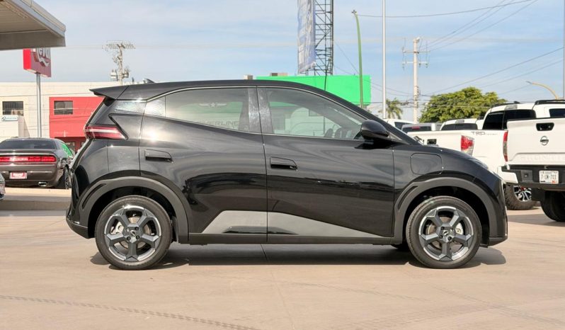 BYD Dolphin Mini 2025 full