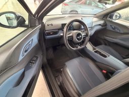 BYD Dolphin Mini 2025 full