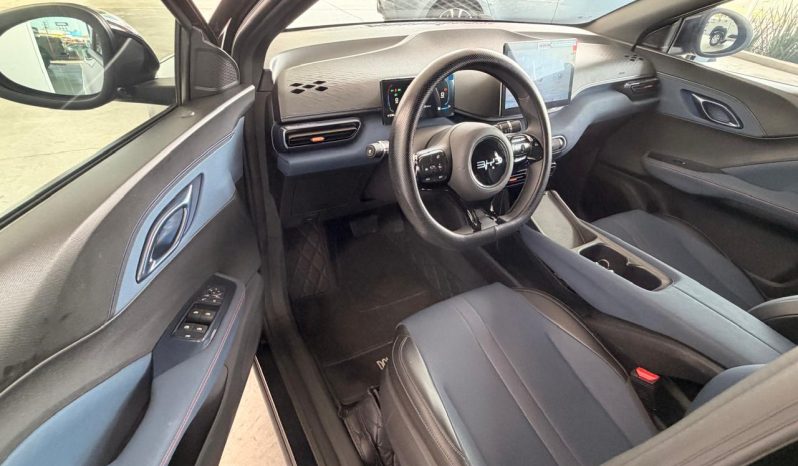 BYD Dolphin Mini 2025 full