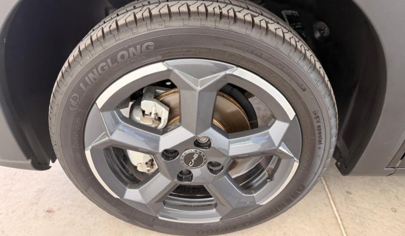 BYD Dolphin Mini 2025 full