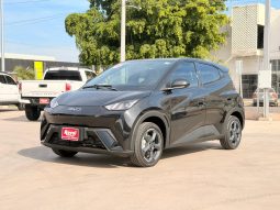 BYD Dolphin Mini 2025 full