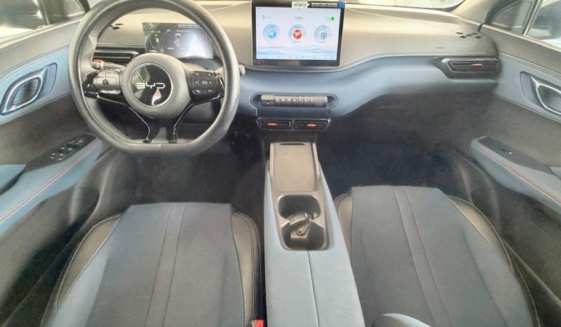 BYD Dolphin Mini 2025 full