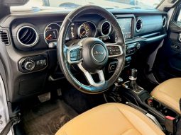 Jeep Wrangler Sahara 2019 full