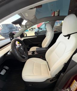 Tesla 2025 full