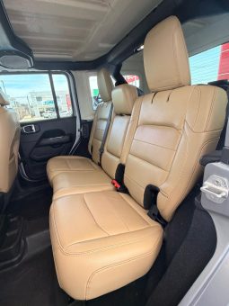 Jeep Wrangler Sahara 2019 full