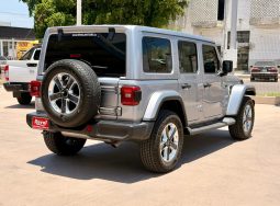 Jeep Wrangler Sahara 2019 full
