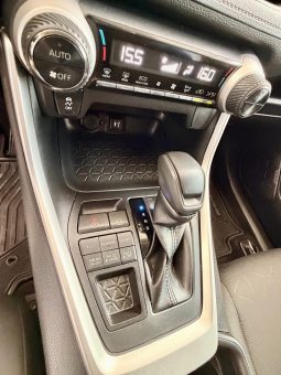 Toyota Rav-4 2019 full